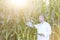 Mature scientist with digital tablet inspecting crops at farm