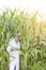 Mature scientist examining corn crops at farm