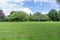 Mature Scottish Trees in a Park