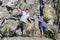 A mature sports couple on the top of Aleksandrovskaya Sopka mountain near the town of Zlatoust in the Chelyabinsk region