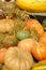 Mature vegetables. Gifts of fall. Pumpkins Background
