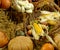 Mature vegetables. Gifts of fall. Pumpkins, onions, corn, apple. Background