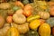 Mature vegetables. Gifts of fall. Pumpkins, vegetable marrows, onions. Background