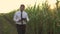 Mature, well-dressed businessman holding a tablet and walking through a green corn field