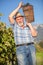 Mature winegrower harvesting black grapes