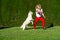 Mature woman blonde playing with siberian husky dog