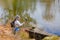 Mature woman filming with her mobile phone gimbal tripod head stabilizer a lake with reflection in the water surface