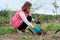 Mature woman in gloves pruning rose bushes with garden secateur, spring gardening