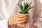 Mature woman hands holding growing plant cactus succulent in gray pot. Protection, progress, care and attention concept. Planting