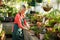 Mature woman holding potted plant at greenhouse