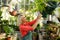 Mature woman inspecting potted plants at greenhouse