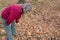 Mature woman in knitwear looks for harvest in autumn forest. Girl with stick searches yellow fallen leaves for mushrooms, berries