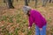 Mature woman in knitwear looks for harvest in autumn forest. Girl with stick searches yellow fallen leaves for mushrooms, berries