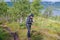 Mature woman looking at her mobile while hiking high in Norwegian mountains, wild mountain birches. Healthy lifestyle. Norway,