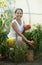 Mature woman picking tomatoes
