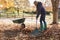 Mature Woman Raking Autumn Leaves In Garden