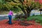 Mature woman raking wet fall leaves off a driveway, garden and street in background, fall cleanup