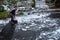 Mature woman shoveling fresh wet snow off an asphalt driveway, snow day