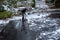 Mature woman shoveling fresh wet snow off an asphalt driveway, snow day