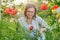 Mature woman in spring garden cutting bouquet of red poppies