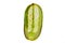 Mature young cucumber