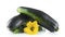 Mature zucchinis with flowers on white background