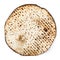 Matzah. Jewish traditional Passover bread. Pesach celebration symbol