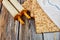 Matzah, tallit and torah on wooden background