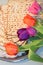 Matzo and spring tulips - Happy Passover