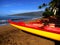 Maui Canoes