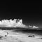 Maui, Hawaii beach in black and white