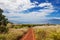 Maui hillside with dry grasses and dirt road