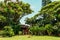 Maui - A House Amongst The Foliage On The Ke`Anae Peninsula