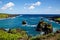 Maui\'s Vibrant Coastline