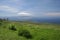 Maui Upcountry Landscape