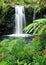 Maui waterfalls