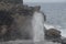 Mauiâ€™s Blowhole