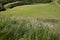 Maumbury rings, Dorchester England. Neolithic mounds.