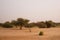 Mauritanian landscape