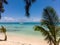 Mauritius beach with palm and boat