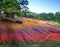 Mauritius - earth of seven colors.tropical landscape in a sunny day