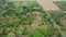 Mauritius, Pamplemus Botanical garden, top view of the pond with giant water lilies Victoria Regnal