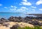 Mauritius. Tropical plants at the stony sea edge