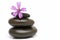 A mauve flower on three stones.