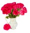 Mauve fresh roses in vase