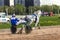 May 16, 2021, Russia, Central Moscow Racecourse. Finishing the first grey trotter on the test of lynx horses.