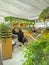 May 2018 - South Korea: Cosy and lush seating area with numerous green plants in terminal 2 of Incheon International Airport