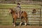 MAY 23, 2017 - LA SAL MOUNTAINS, UTAH -Cowboys brand Cattle near La Sal, Utah off Route 46 near. Cowboy, Color Image