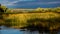 MAY 26 2019, IRRIGON OREGON, USA - Irrigon Hatchery and Nature Sanctuary on Columbia River, Irrigon, Oregon, Morrow County