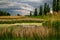 May storm over the marshy meadow